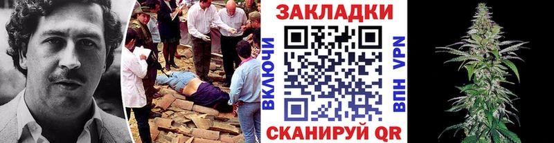 Купить наркотики цена Лодейное Поле СОЛЬ  НБОМе  Марихуана 