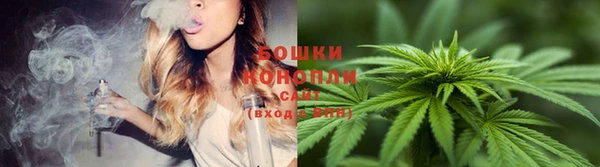 крисы Ладушкин